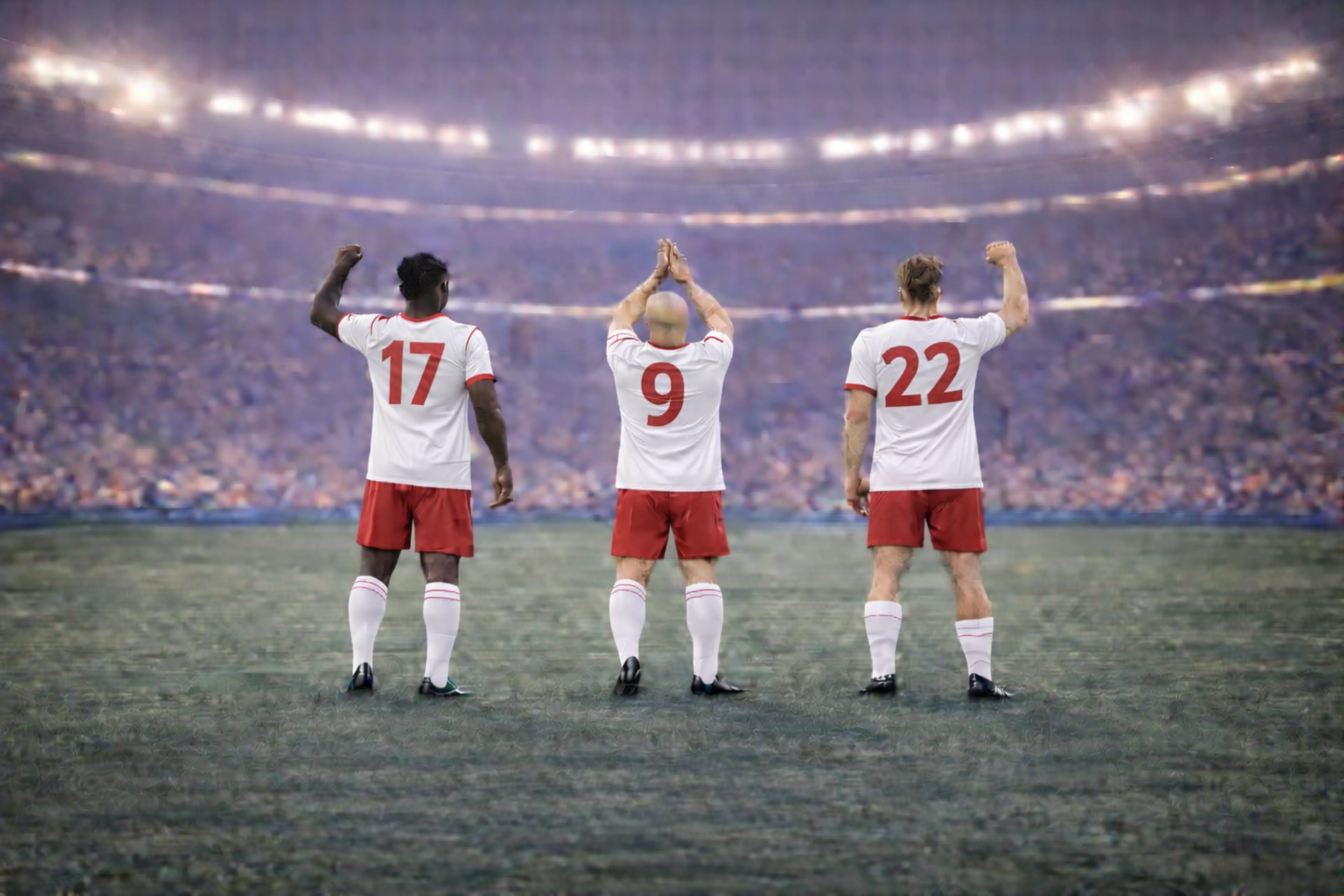 Bannerbild